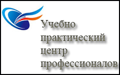 Профессионал